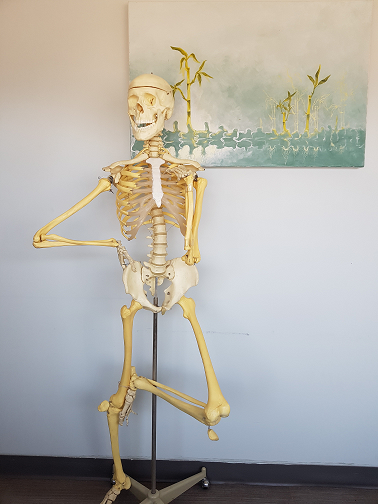 skeleton standing with leg up and hand on hip